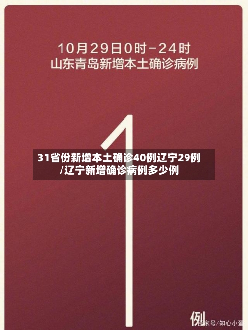31省份新增本土确诊40例辽宁29例/辽宁新增确诊病例多少例