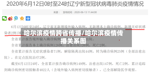 哈尔滨疫情跨省传播/哈尔滨疫情传播关系图