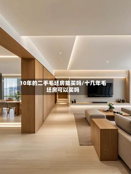10年的二手毛坯房能买吗/十几年毛坯房可以买吗-第2张图片