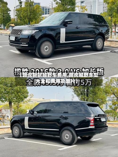 【路虎新款越野车费用,路虎越野车型大全和费用及图片】-第2张图片