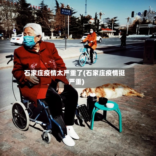 石家庄疫情太严重了(石家庄疫情挺严重)-第2张图片