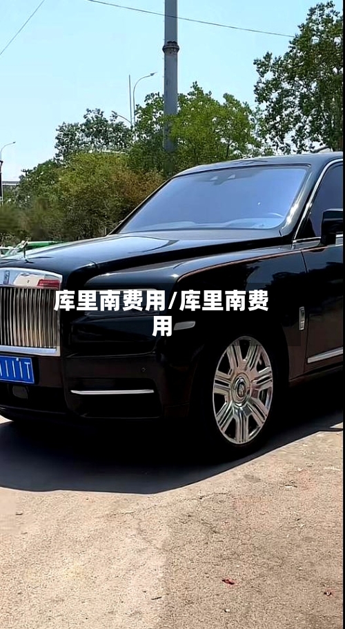 库里南费用/库里南费用-第3张图片
