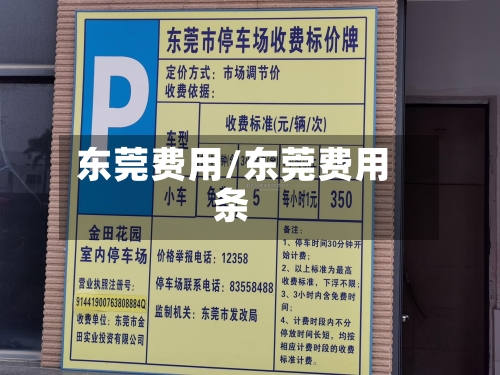 东莞费用/东莞费用条