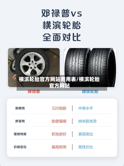 横滨轮胎官方网站费用表/横滨轮胎官方网站-第3张图片