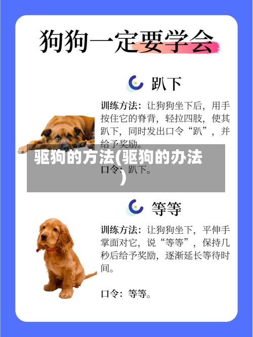 驱狗的方法(驱狗的办法)