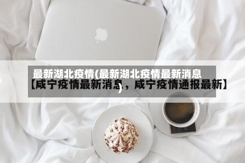 最新湖北疫情(最新湖北疫情最新消息)