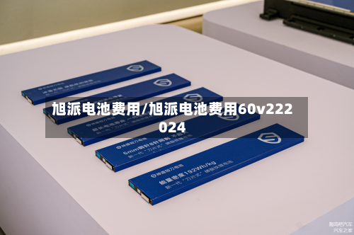 旭派电池费用/旭派电池费用60v222024