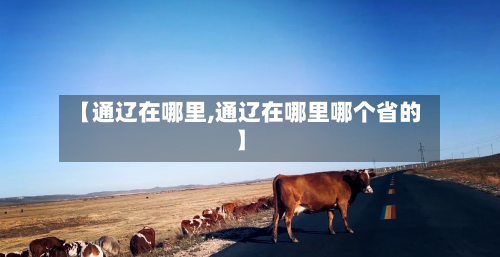 【通辽在哪里,通辽在哪里哪个省的】