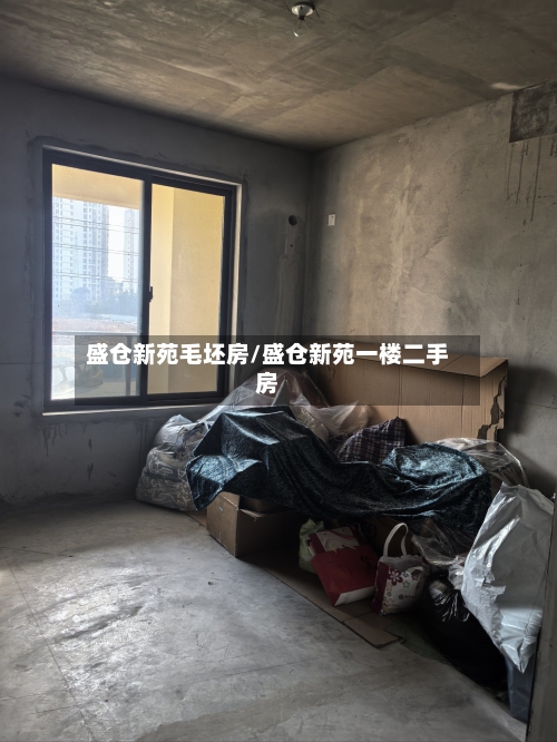 盛仓新苑毛坯房/盛仓新苑一楼二手房-第2张图片