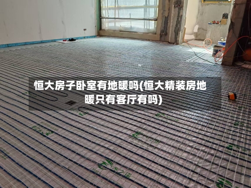 恒大房子卧室有地暖吗(恒大精装房地暖只有客厅有吗)