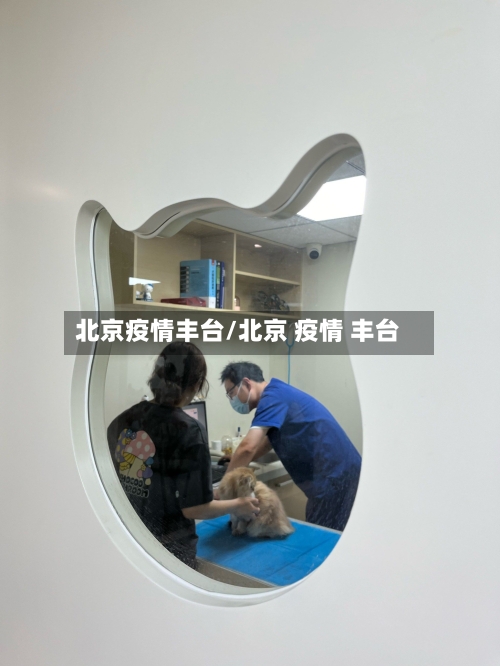 北京疫情丰台/北京 疫情 丰台-第2张图片