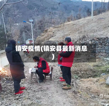 镇安疫情(镇安县最新消息)-第2张图片