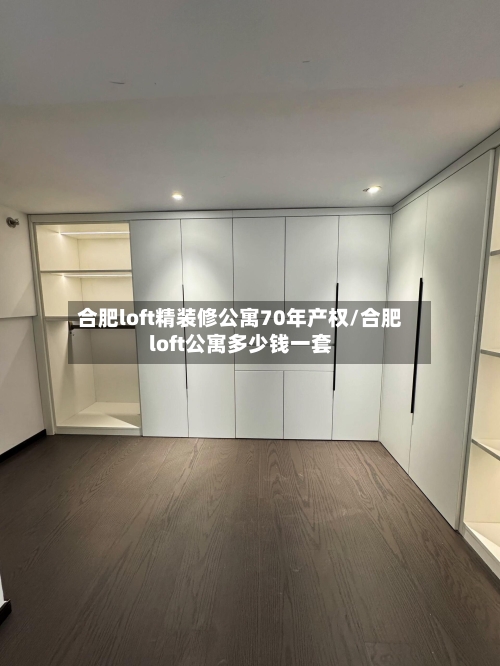 合肥loft精装修公寓70年产权/合肥loft公寓多少钱一套