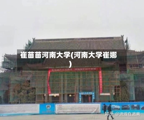 崔苗苗河南大学(河南大学崔娜)-第2张图片